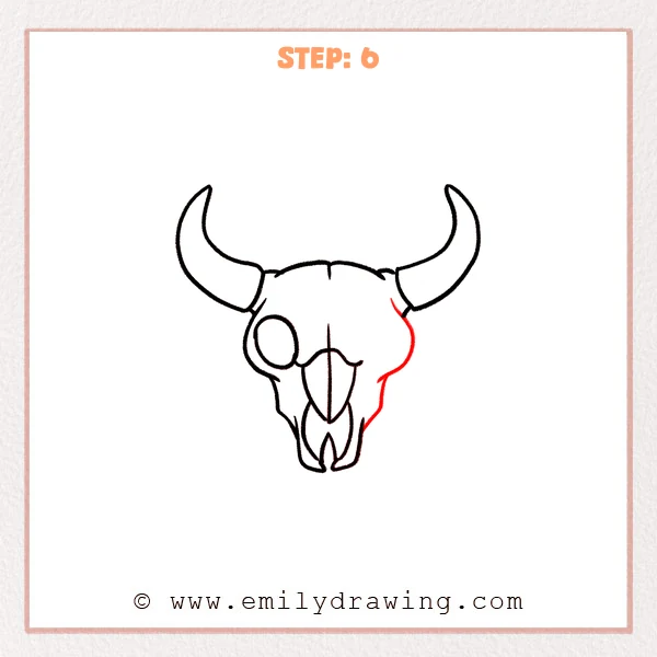 how to draw a bull skull - Bull skull drawing with both horns, a left eye socket, nasal center guide, and a newly added right-side skull outline for symmetry.